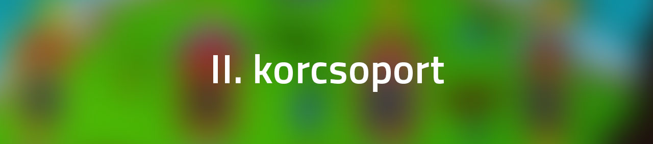 2-korcsop